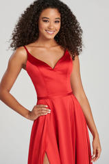 CL12079 Red detail