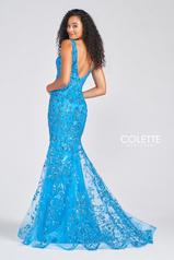 CL12238 Turquoise back