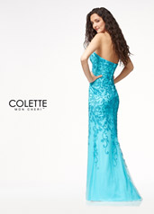 CL18239 Turquoise back