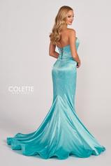 CL2045 Turquoise back