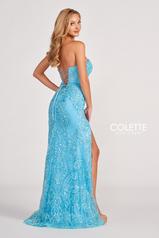 CL2046 Turquoise back
