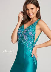 EW118176 Teal front