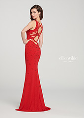 EW119089 Red back