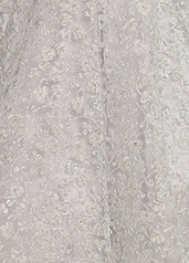 EW119096 Silver detail