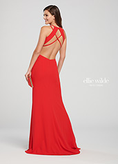 EW119159 Red back