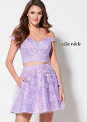 EW21905S  / J05a Lilac front