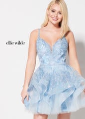 EW21916S  / J08a Periwinkle front