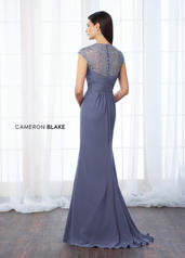 217648 Periwinkle back