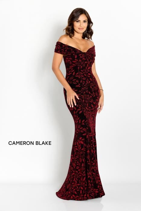 Cameron Blake gowns for mother of the bride in stock CB766