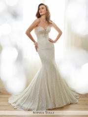 Y11708ZB-Angelique Light Champagne/Silver front
