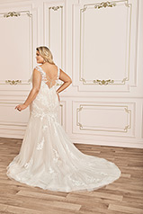 Y12027 Ivory/Nude back