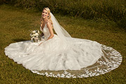 Y12038 Ivory/Light Champagne other