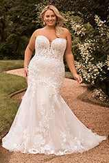 Y22176 Ivory front