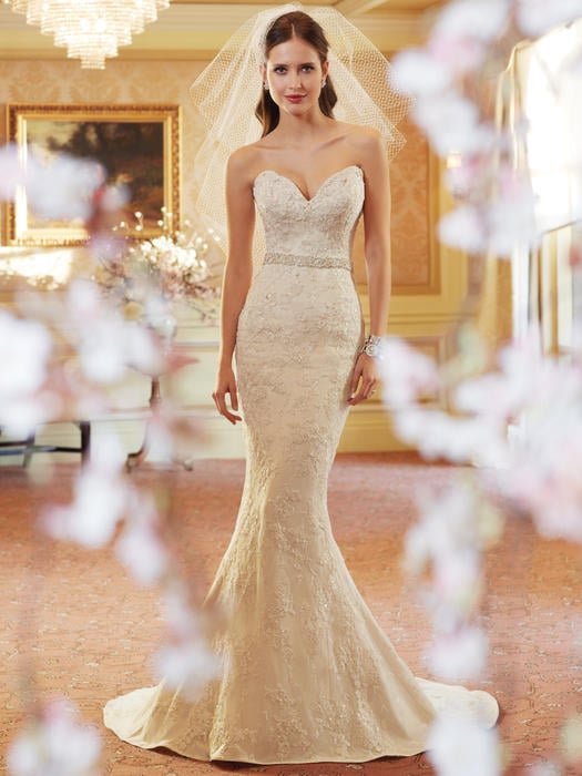 Sophia Tolli Bridal for Mon Cheri Y11408-Daenerys 