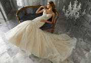 8176 Ivory/Champagne other