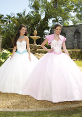 84600 Pink/Tulip front