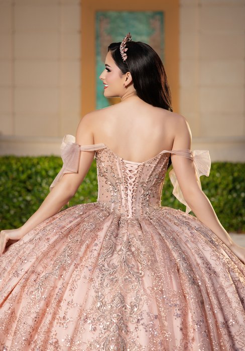 Vizcaya Quinceanera by Morilee 4080043