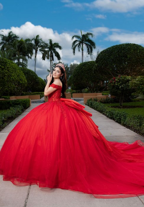 Vizcaya Quinceanera by Morilee 4080046
