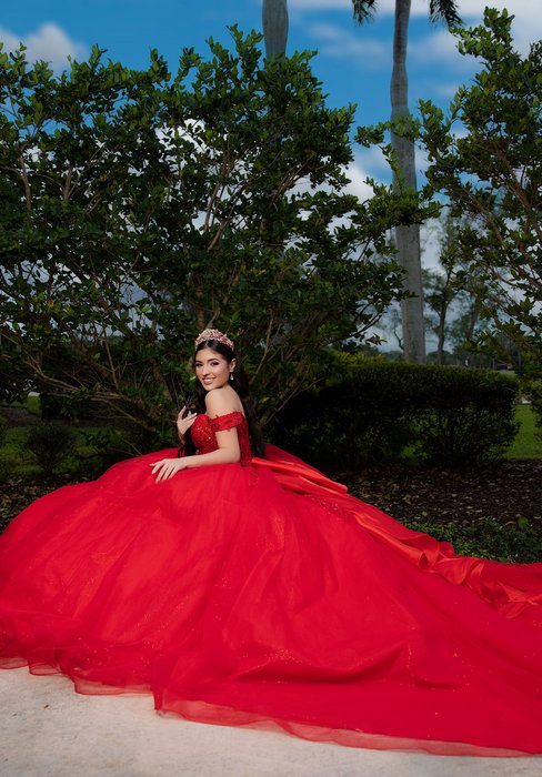 Vizcaya Quinceanera by Morilee 4080046