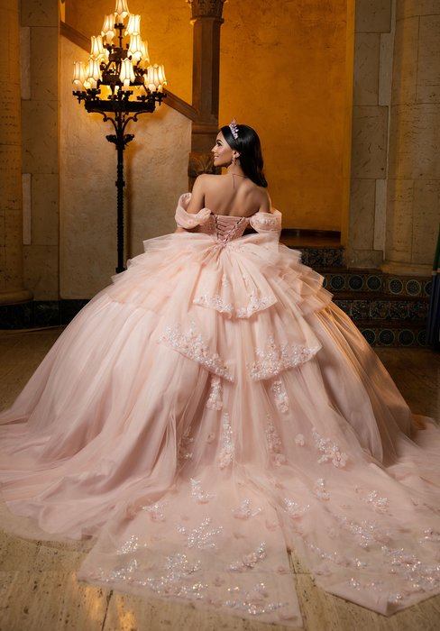Vizcaya Quinceanera by Morilee 4080050