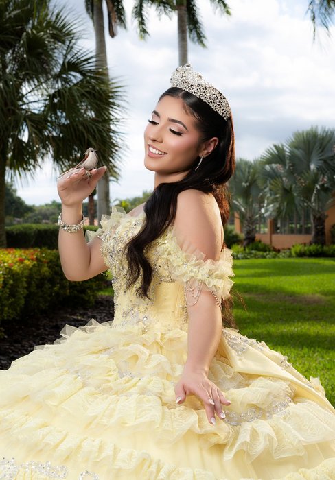 Vizcaya Quinceanera by Morilee 4080058