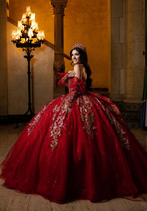 Vizcaya Quinceanera by Morilee 4080059