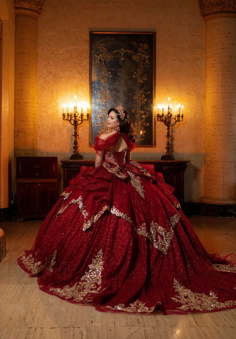 Vizcaya Quinceanera by Morilee 4080062