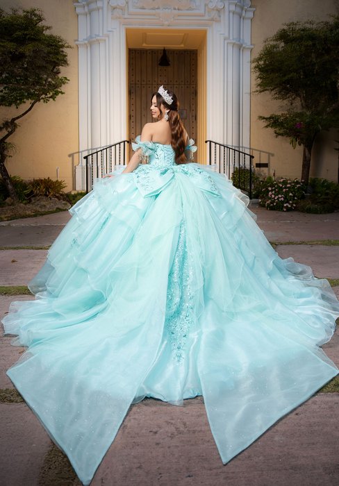 Vizcaya Quinceanera by Morilee 4080064
