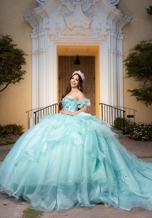 Vizcaya Quinceanera by Morilee 4080064