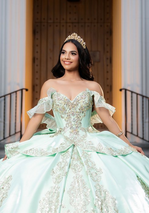 Vizcaya Quinceanera by Morilee 4080067