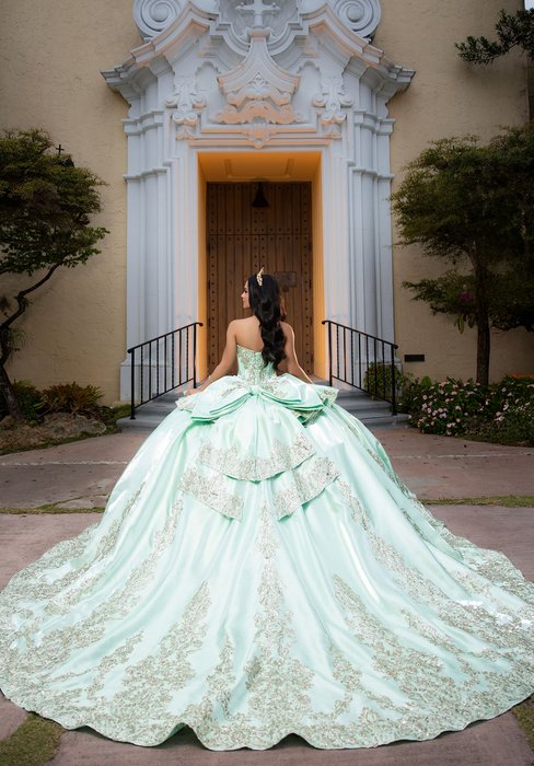 Vizcaya Quinceanera by Morilee 4080067
