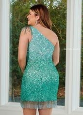 40127 Jade Ombre back