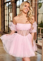 40379 Pink front