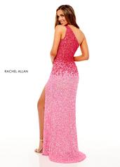 70222 Pink Ombre back
