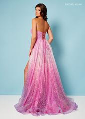 70292 Pink Ombre back