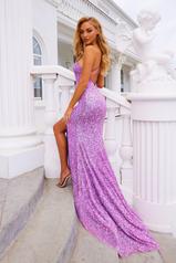 PS22441C Lilac back