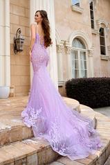 PS24252 Lilac back