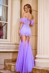 PS24519 Lilac back