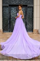 PS24632 Lilac back