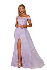 PS6020 Lilac back