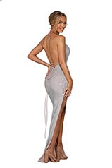 PS6433 Silver Nude back