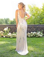 3230 Champagne Ombre back