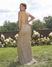 3257 Nude Ombre back