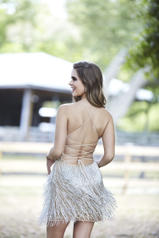 3319 Nude Silver back