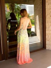 4146 Coral Ombre back