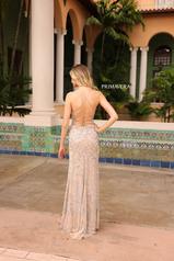 4162 Nude Silver back