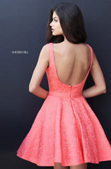 S51071 Coral back