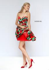 50028 Red Print other