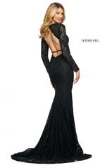 53682 Black back