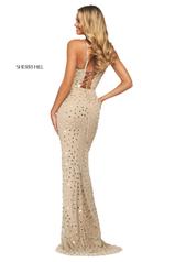 53813 Nude/Silver back